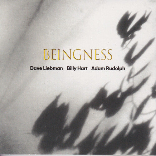 Beingness [Vinyl]