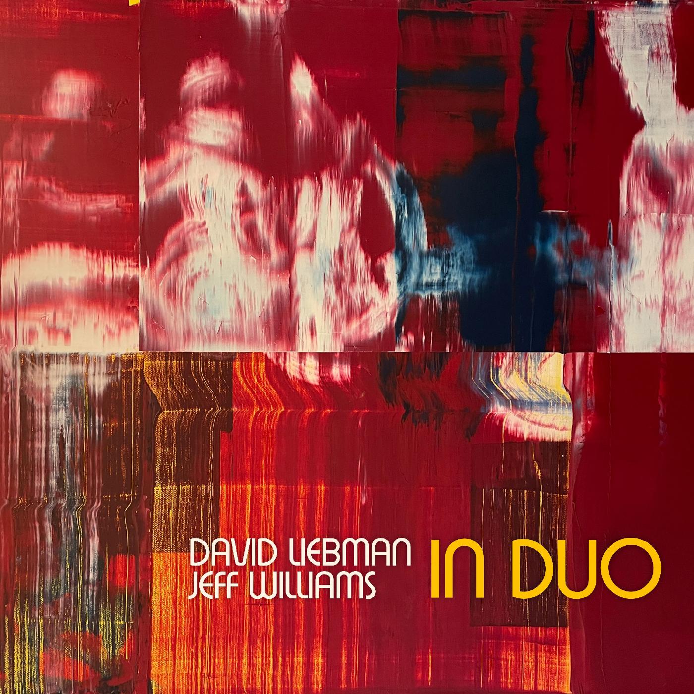 In Duo [LP]