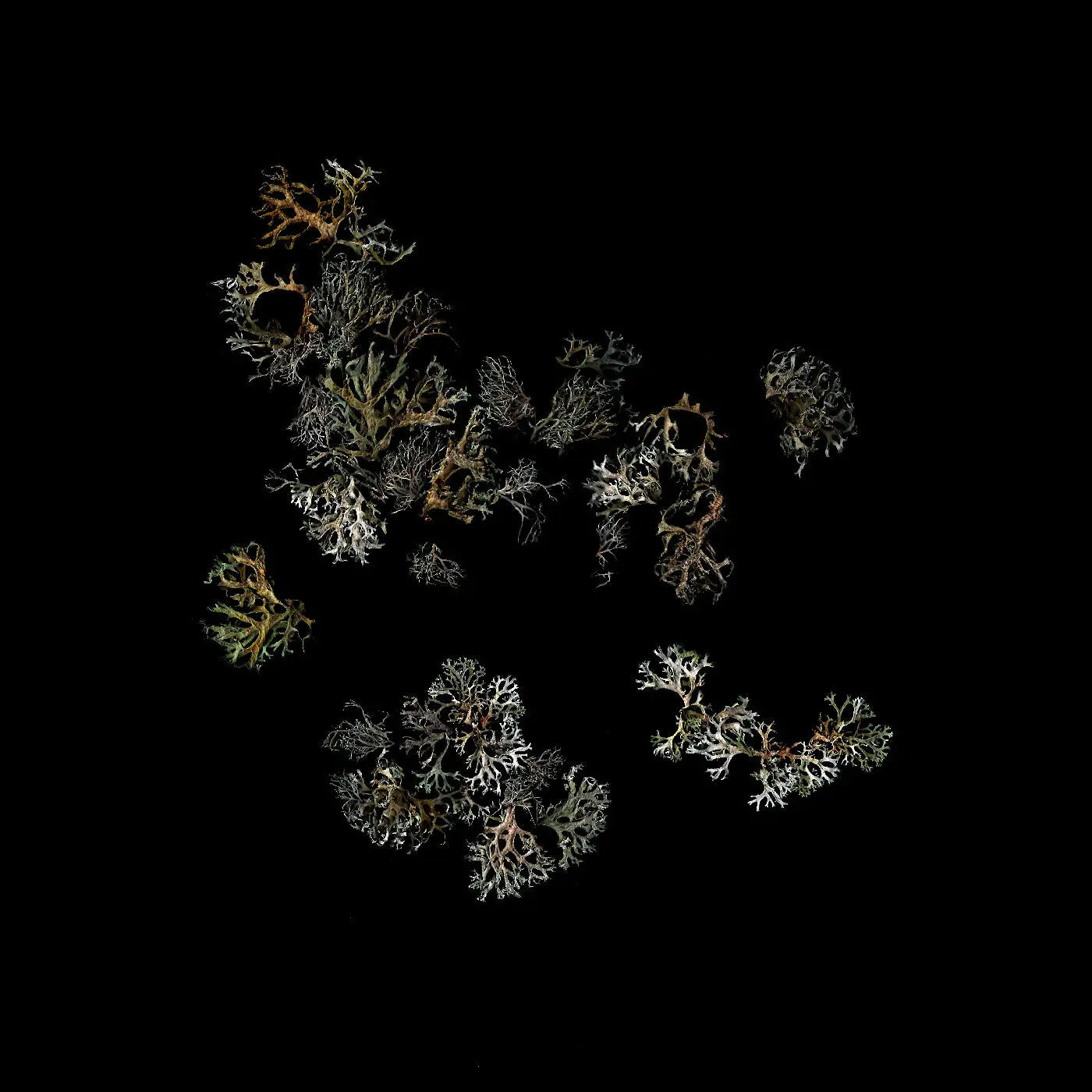 Deathcrash - Return [Vinyl]