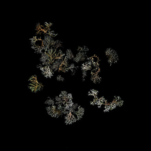 Deathcrash - Return [Vinyl]