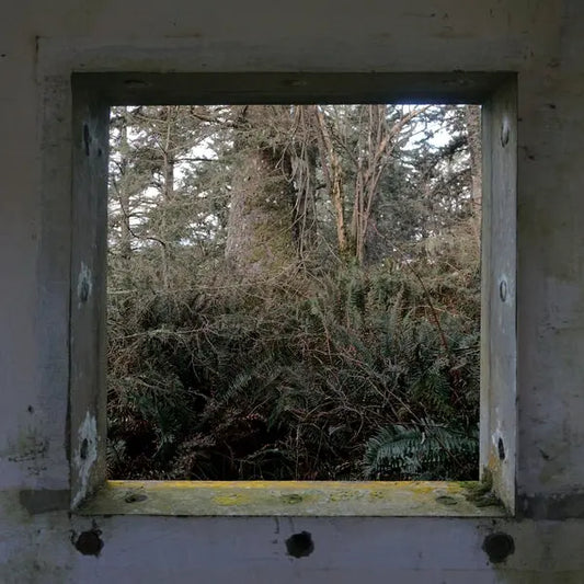 Derek Hunter Wilson - Sculptures [LP]