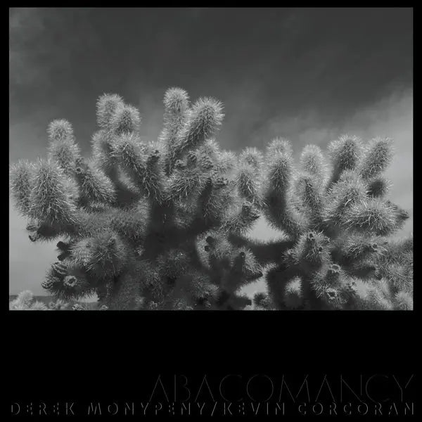 Derek Monypeny And Kevin Corcoran - Abacomancy [LP]