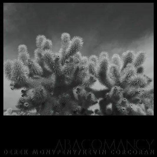 Derek Monypeny And Kevin Corcoran - Abacomancy [LP]