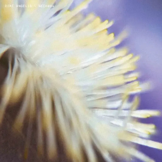 Dimi Angelis - NECH034 [12" Vinyl]