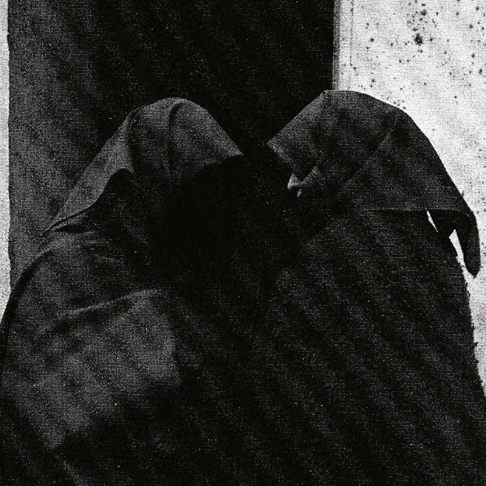 Downfall Of Nur - And The Firmament Will Burn To Quench The Pain Of This Earth [LP]