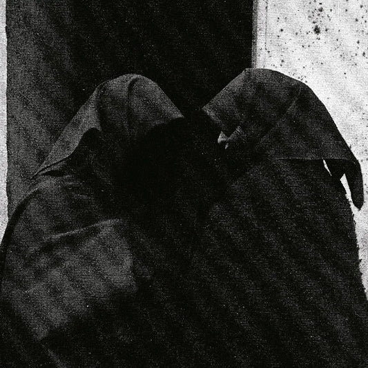 Downfall Of Nur - And The Firmament Will Burn To Quench The Pain Of This Earth [LP]
