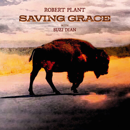 Saving Grace [CD]
