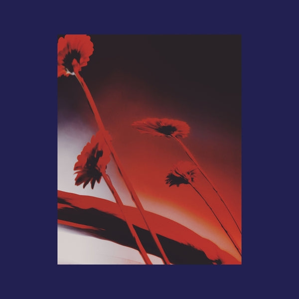 Various Artists - Nothing Ever Was: Compiled by DJ Sundae album cover
