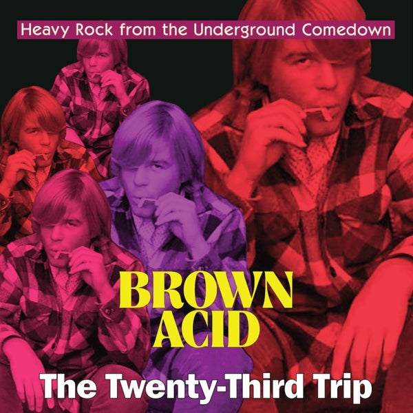 Various Artists - Brown Acid: The Twenty-Third Trip [LP]