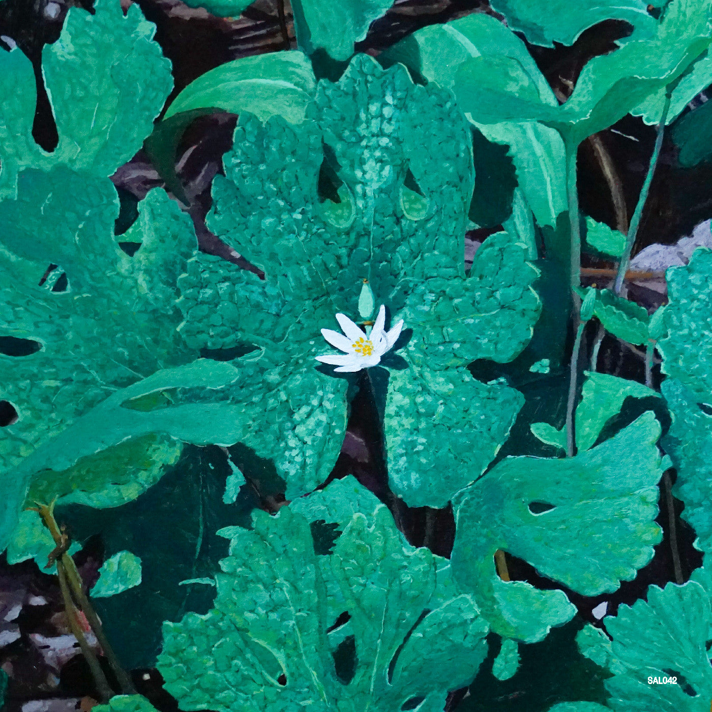 Wetland Interiors [Vinyl]