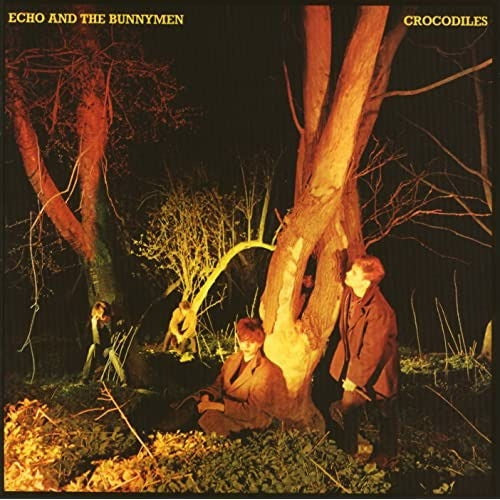 Crocodiles [Vinyl]