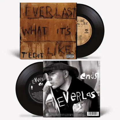 Everlast — What It's Like / Ends [7" Vinyl Single] — cover artwork