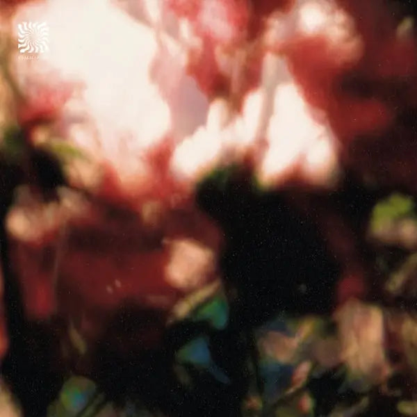 Euphonic Alliances Ltd. - Peace is it in You [12" Vinyl]