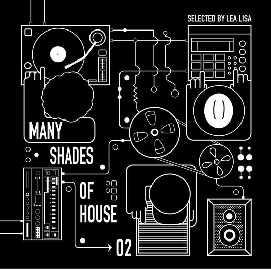 Many Shades Of House (Selected By Lea Lisa) Vol.2 [2LP]