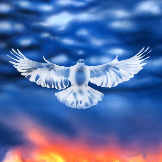 Mission Barnhus [12"]