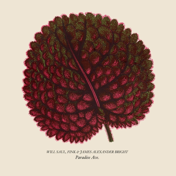 Paradise Ave [12" Vinyl]