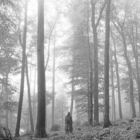 Taylor Swift – Folklore black-and-white woodland album cover
