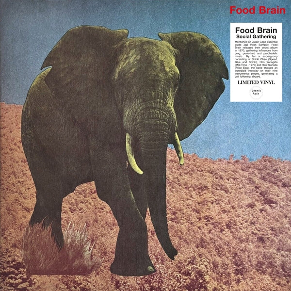 Social Gathering [LP]