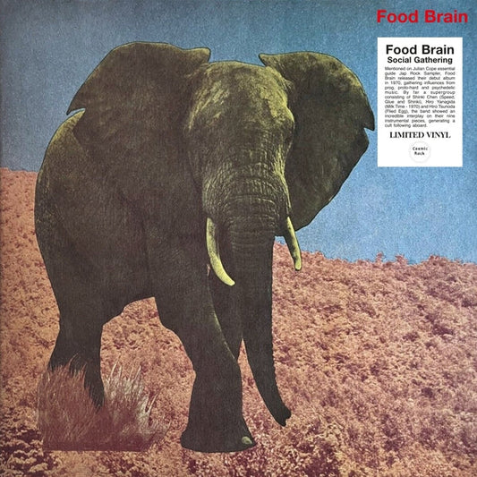 Social Gathering [LP]