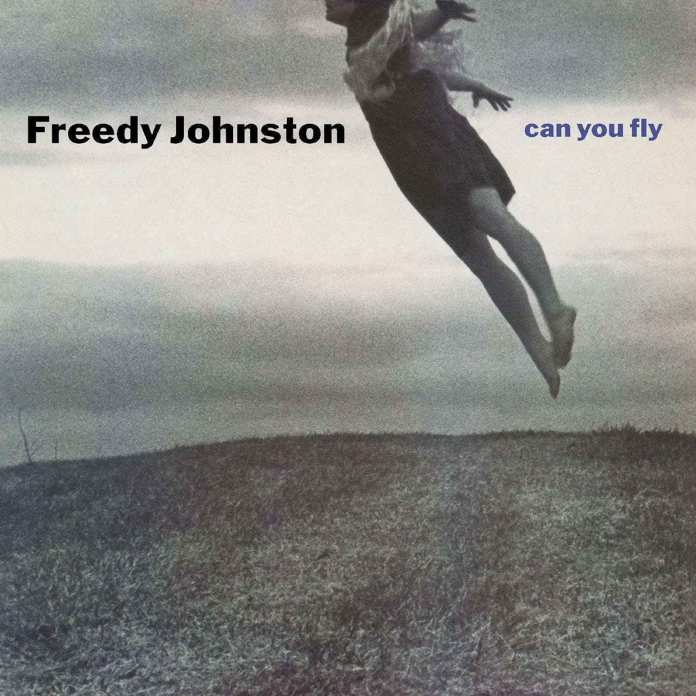 Freedy Johnston - Can You Fly (Clear Vinyl) [Vinyl]