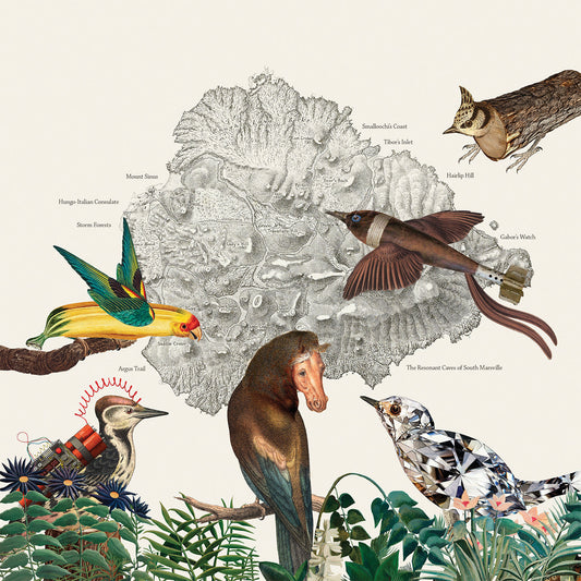 The Birds Of Marsville [Vinyl]