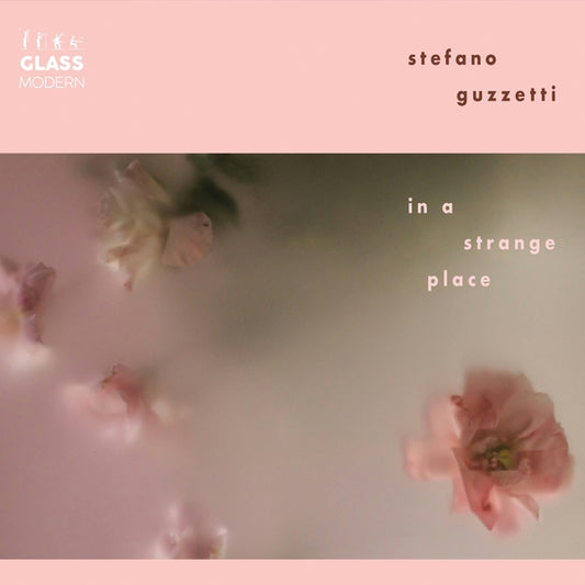 In A Strange Place [CD]