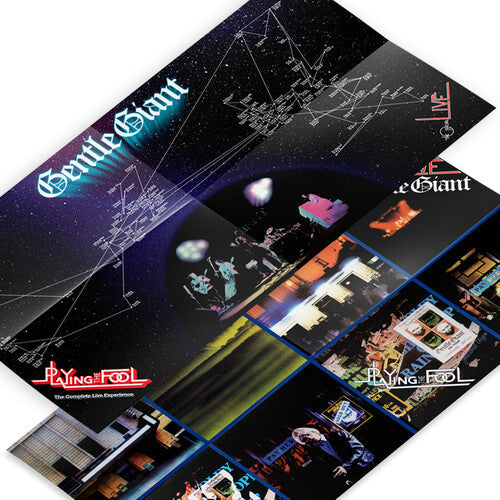 Playing the Fool: The Complete Live Experience [Vinyl]