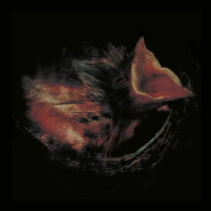 Gurriers - Nobody's Coming To Save You [LP]