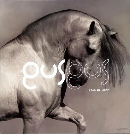GusGus - Arabian Horse [Vinyl]
