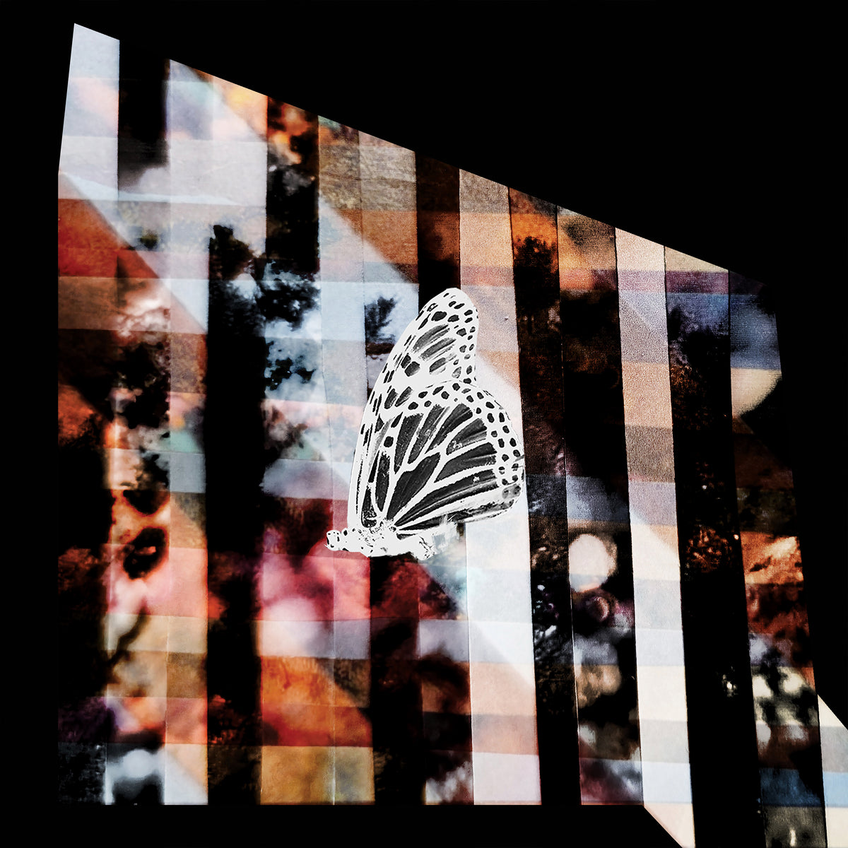 Return of Light of No Return [LP]