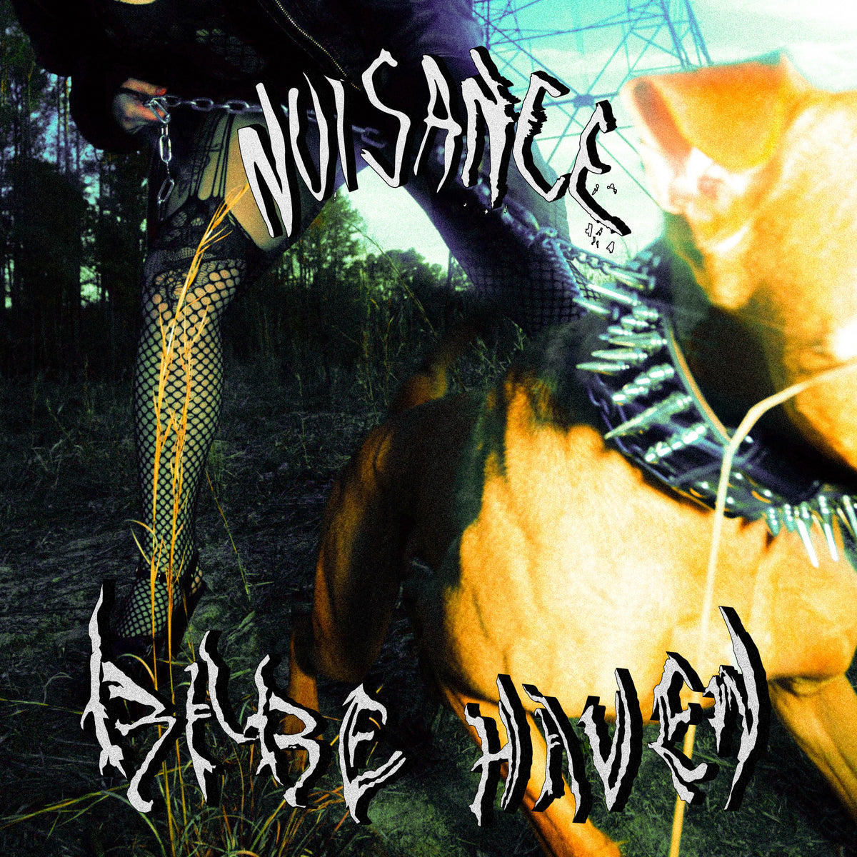 Babe Haven - Nuisance album cover
