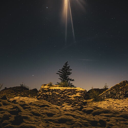 Second Coming Was a Moonrise [Vinyl]