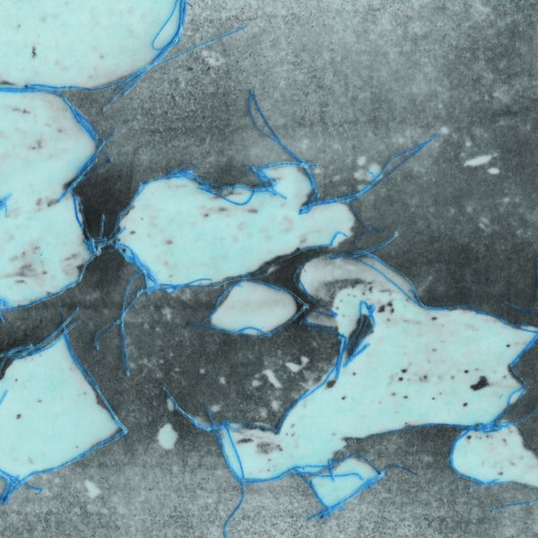 Two Lonely Space Cowboys [LP]