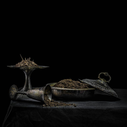 All We Have Is Never [LP] (Purple Vinyl)