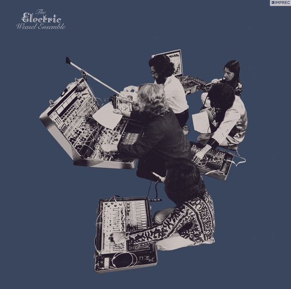 Electric Weasel Ensemble 2LP