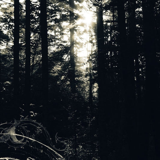 I Still Look For The Mountains LP