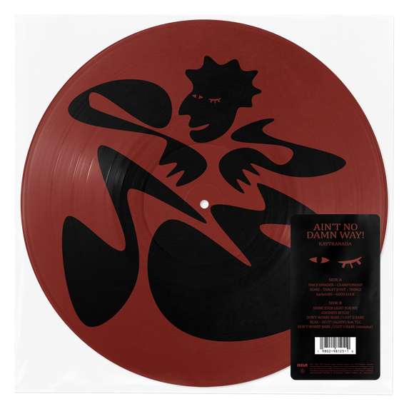 Ain't No Damn Way! [Picture Disc LP]