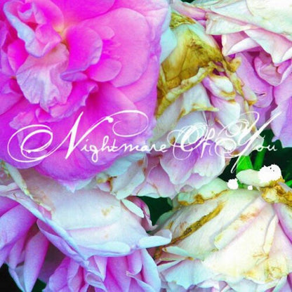 Nightmare of You — Nightmare of You [LP] — product artwork