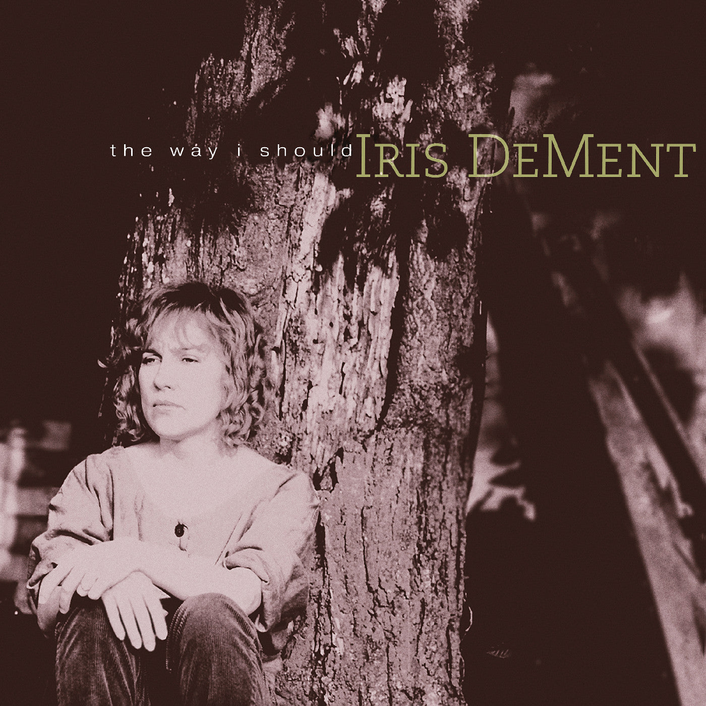 The Way I Should (30th Anniversary) (Summer Sky Vinyl)