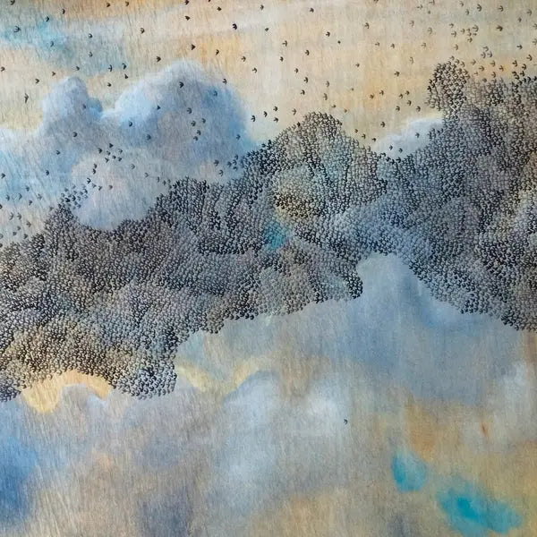 James Blackshaw - Unraveling In Your Hands [LP]