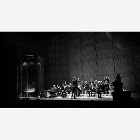 Music For 17 Musicians [Vinyl]