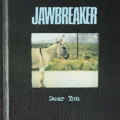 Jawbreaker - Dear You [Vinyl]