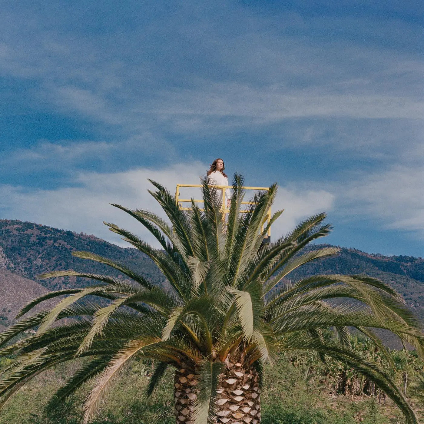 Jessy Lanza - Love Hallucination [Vinyl]