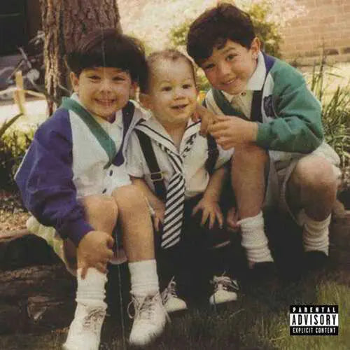 Jonas Brothers - The Family Business [Vinyl]