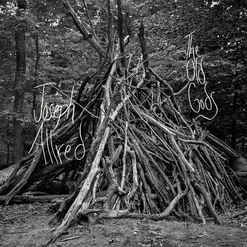 The Old Gods [LP]