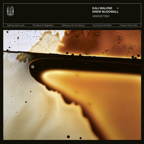 Magnetism [LP]