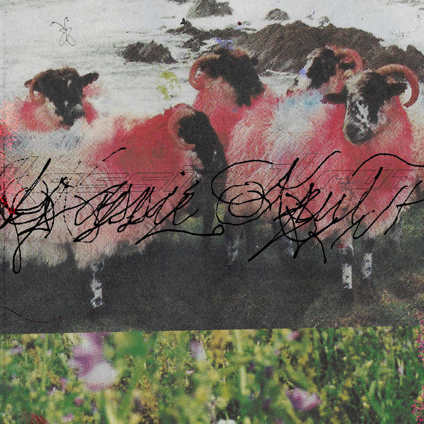 Kassie Krut (Deluxe Edition) [Vinyl]