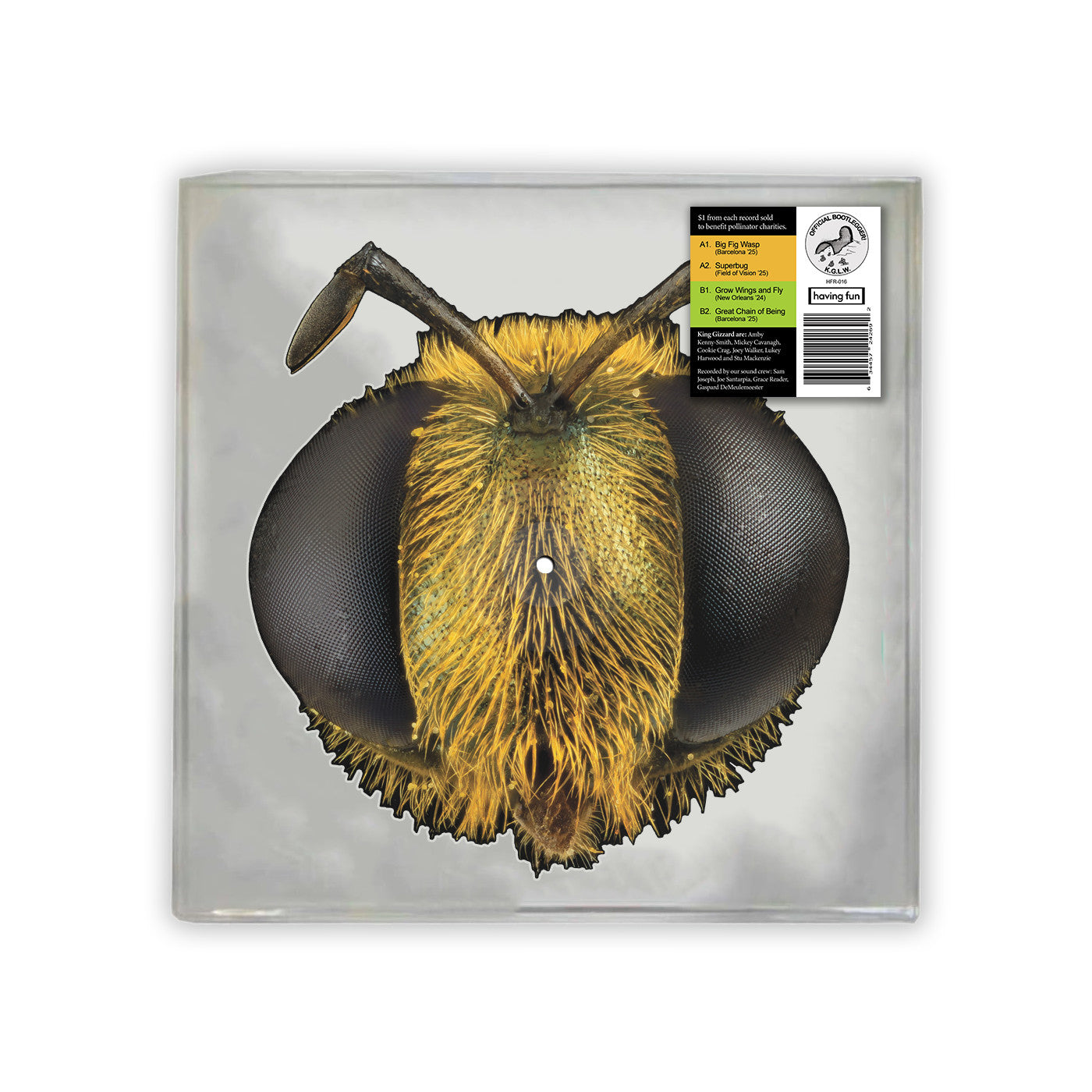 Big Fig Wasp (Bee/Bug Shaped Vinyl)