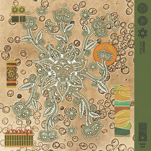 Altro Mood [12" Vinyl]