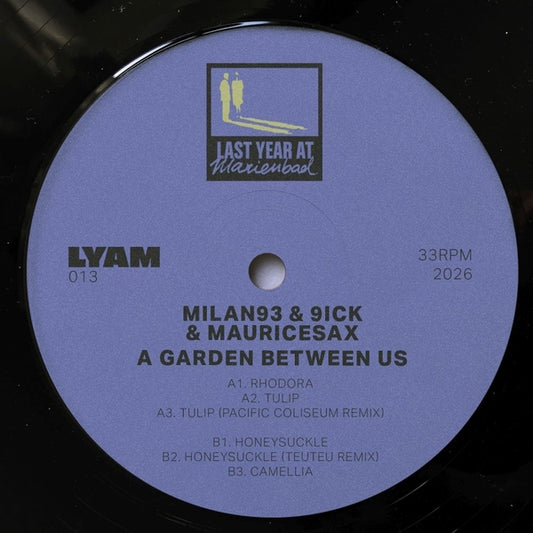 A Garden Between Us [12"]